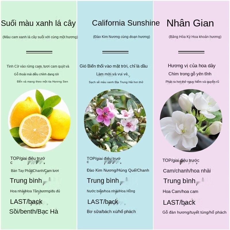 Kem dưỡng da tay Roopy Pháp giữ ẩm, làm mềm da và không nhờn