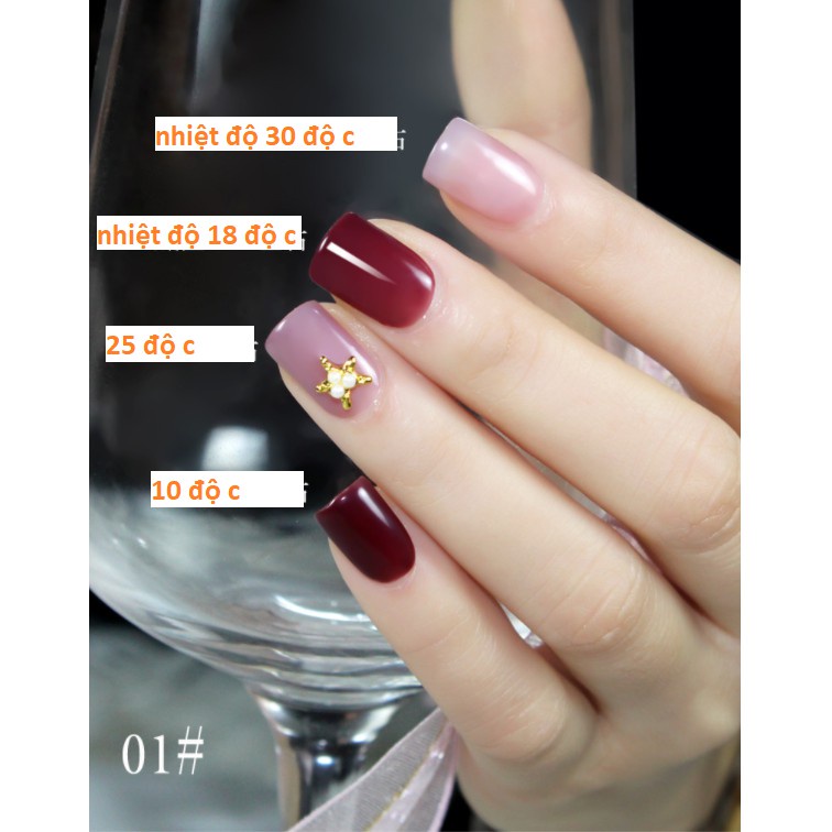 Sơn Gel AS vỏ đen Mã WF sơn đổi màu ( Cam Kết Chính Hãng - làm khô sơn gel bằng máy hơ uvled )
