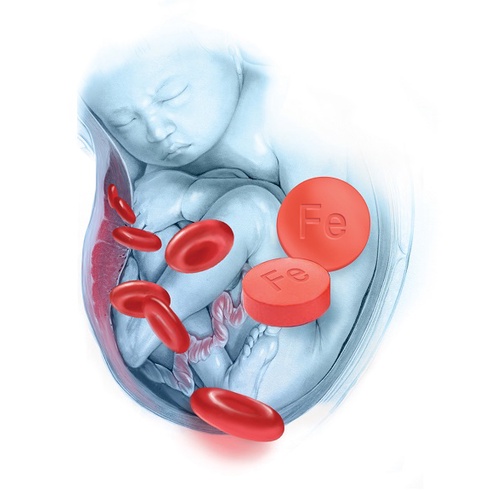 Viên bổ máu FeIII Hypodavi Viên sắt cho bà bầu Bổ sung sắt Acid folic Tạo máu Phòng tránh Thiếu máu do Thiếu sắt