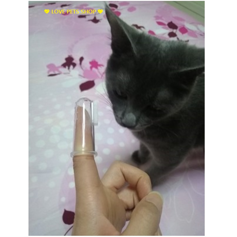 Bàn chải đánh răng cho Chó Mèo bằng Silicon xỏ ngón - Love pets shop