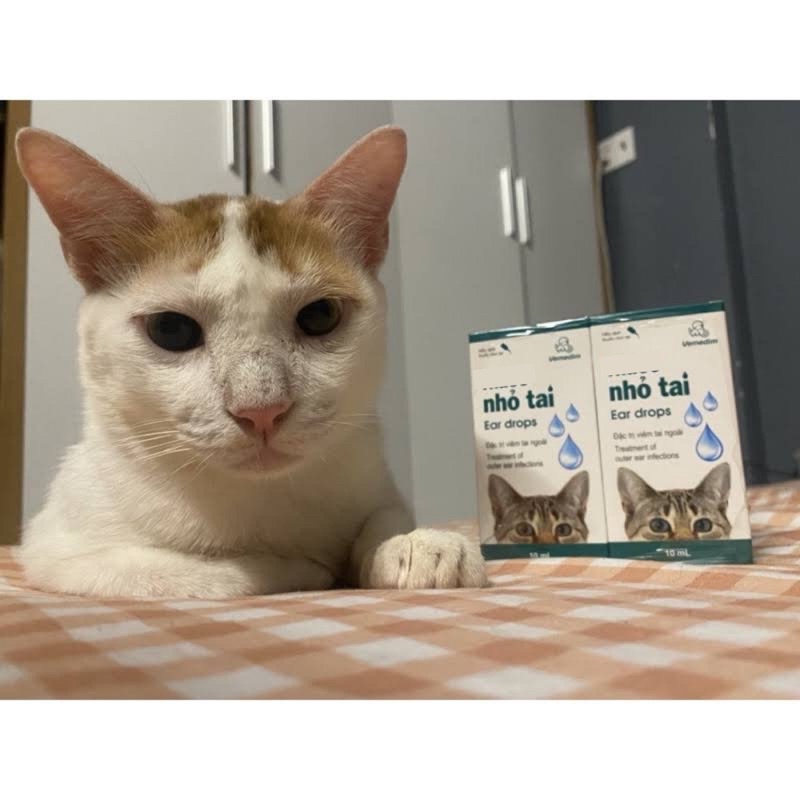 Nhỏ tai chó mèo Vemedim viêm tai cho chó mèo