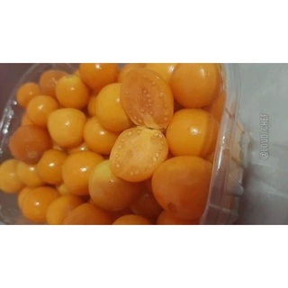 5 cây thù lù hay tầm bóp