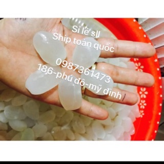 Hạt đác tươi 1kg.10kg giảm giá