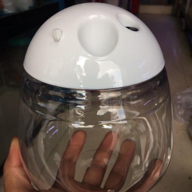 Hồ cá Betta mini