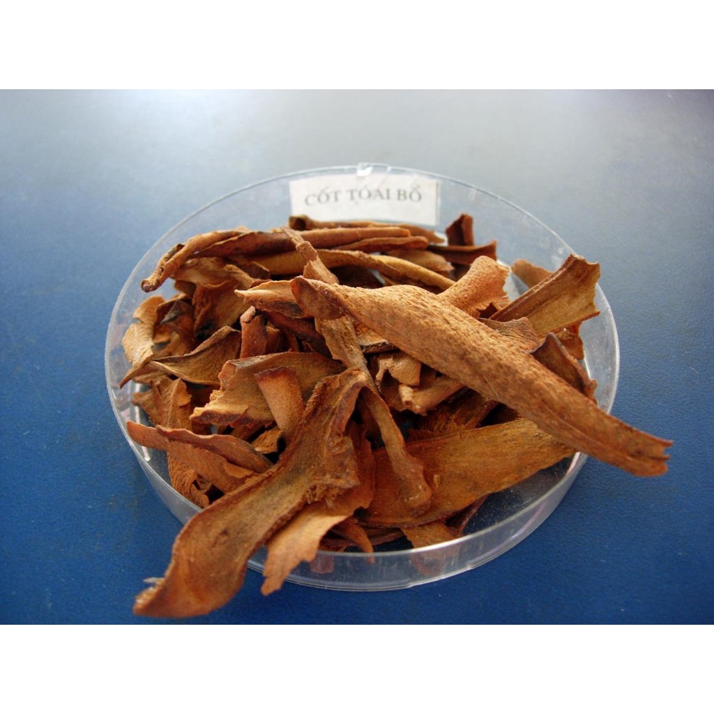 [ Hàng Loại 1 ]Cốt Toái Bổ Khô 1KG (Tắc Kè Đá) thần dược xương khớp