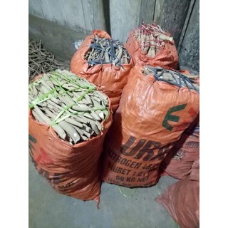 1KG SÂM CAU ĐỎ RỪNG TÂY BẮC