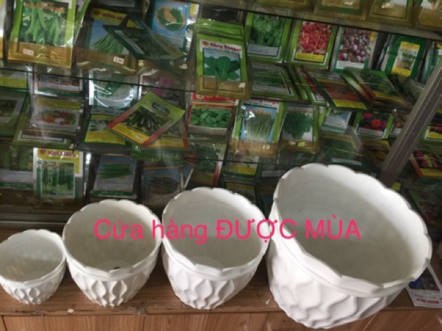 Chậu lưới size 36x30cm