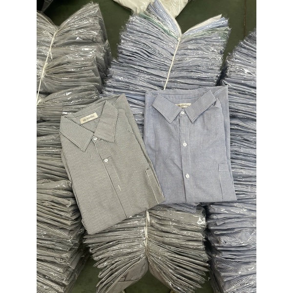 Áo Sơ Mi Kẻ nữ Tay dài - Hàng có sẵn