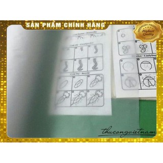 Giấy scan trong tệp 10 tờ