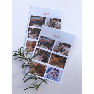 Bullet Journal sticker - Playlist Kit Cat-At