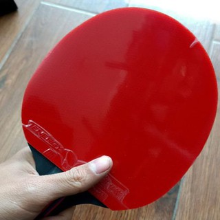 [HOT SALE]  [Cao Cấp] Vợt bóng bàn Stiga