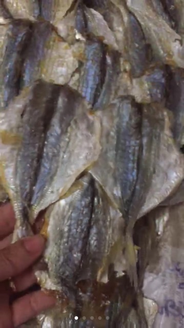 1kg CÁ CHỈ Vàng  loại con to ngon