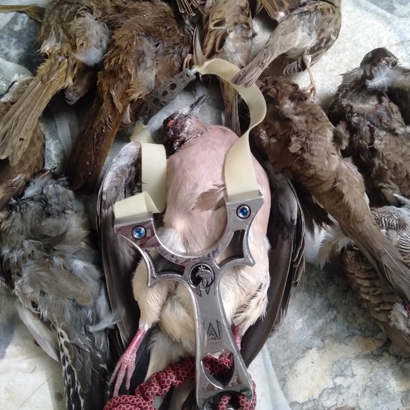 Ná cao su ưng vương V3 bản 2 ốc titan có nam châm +  2 dây + vít vặn