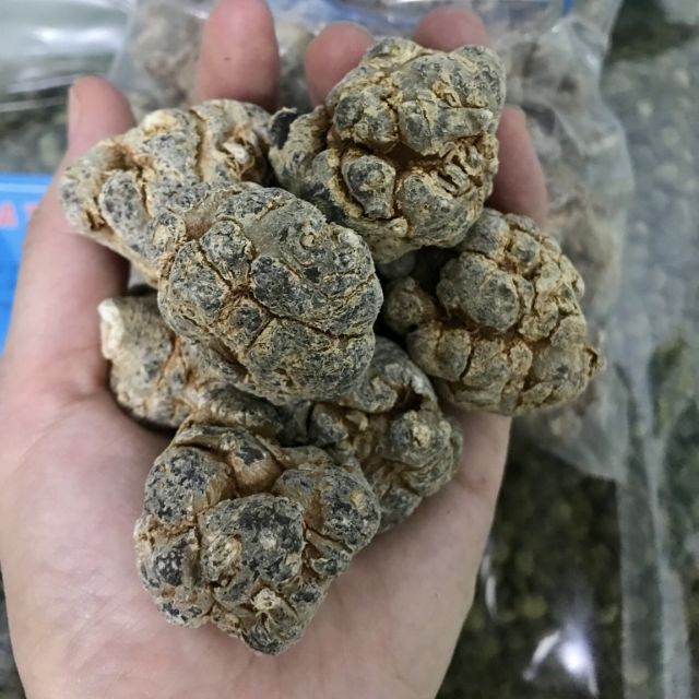 Tam thất bắc khô 100g