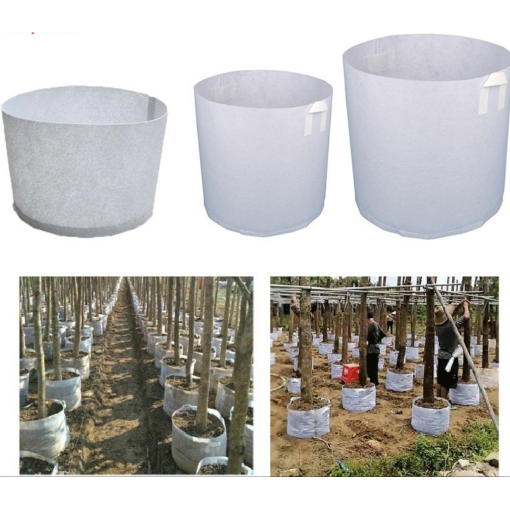 [Có sẵn] 10 Túi ( chậu ) vải trồng cây có quai xách ( 40x50 ) - tái sử dụng nhiều lần, bền , đẹp.