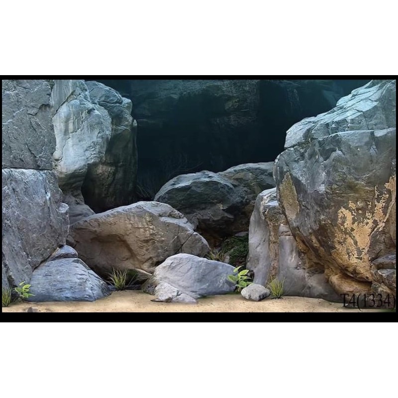 Tranh dán bể cá 3D (ngang*cao)