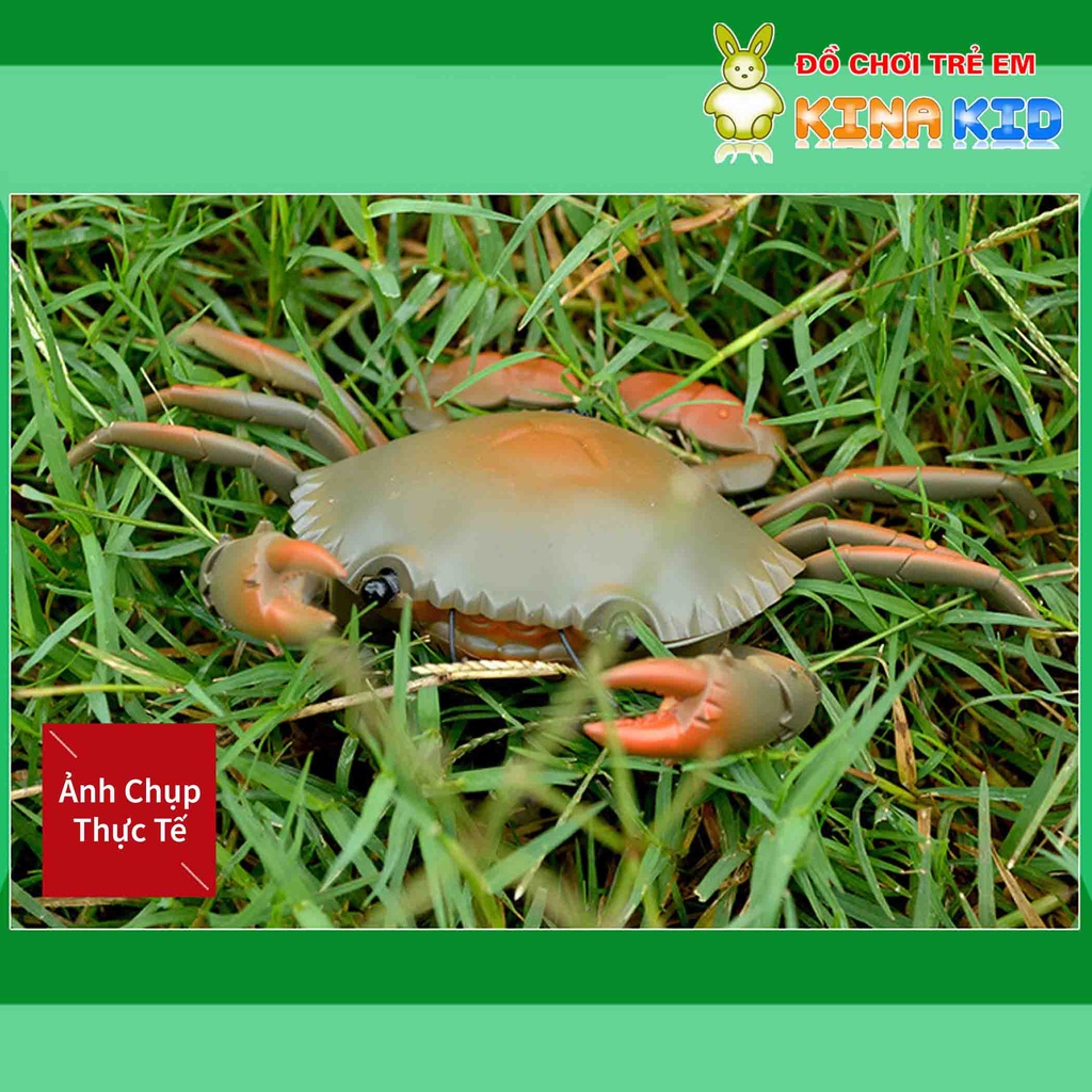 Đồ chơi con cua điều khiển từ xa Crab, biết đi giống như thật