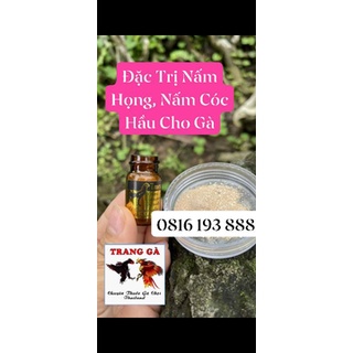 Thuốc trị nấm họng cho gà chọi, gà đá