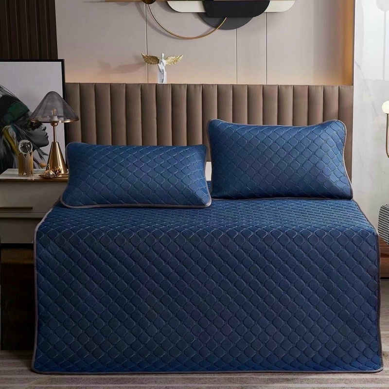 [LOẠI 1] Chiếu Điều Hoà Cao Su Non Tencel  Mát Lạnh , Chiếu Cao Su Trần 3 Lớp Mềm Mịn Mẫu Mới 2022 (tặng kèm 2 vỏ gối)