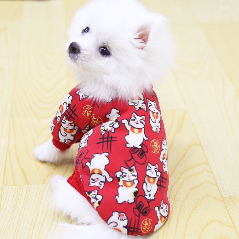 Áo nỉ lót bông Tết mèo thần tài - chó shiba cho cún miu 🧧