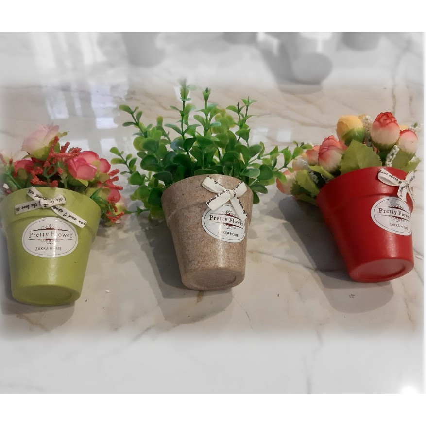 Châu hoa mini xinh để bàn