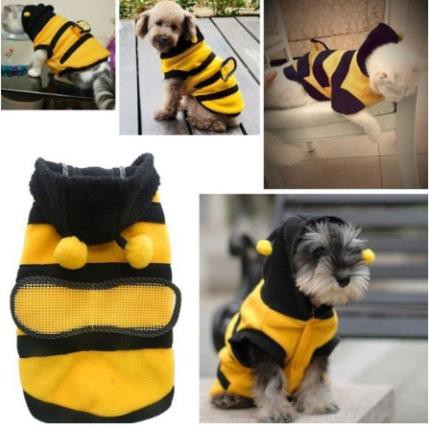 Áo Sweater ong vàng giữ ấm, làm đẹp cho thú cưng chó mèo...