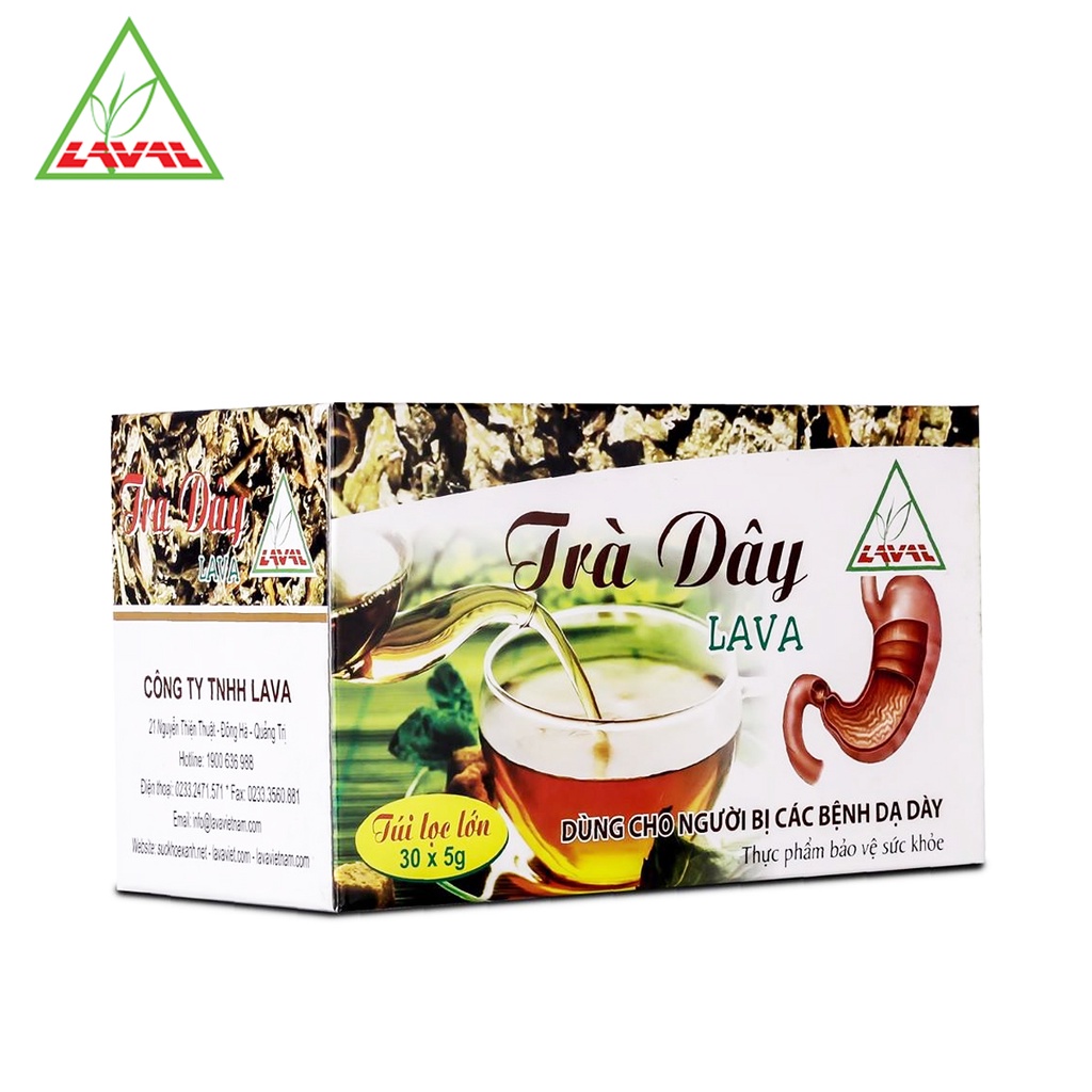 TRÀ DÂY AMPELOPSIS TEA BAG LAVA