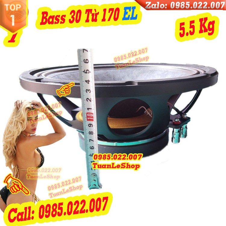 BASS 30 TỪ 170 EL AUDIO CÔN 75 MÀNG CHỐNG NƯỚC CAO CẤP - GIÁ 1 LOA - LOA NHẬP KHẨU