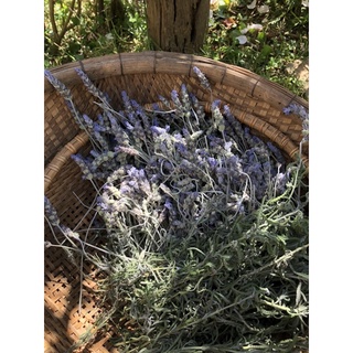 Túi Lavender (THÊU TÊN theo yêu cầu)