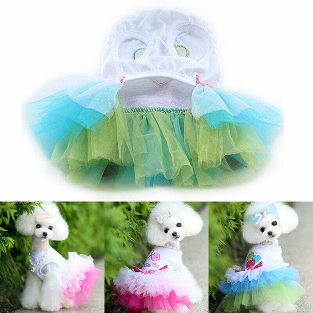 Đầm Công Chúa Họa Tiết Chữ Kiss Me Xinh Xắn Thời Trang Cho Cún Cưng