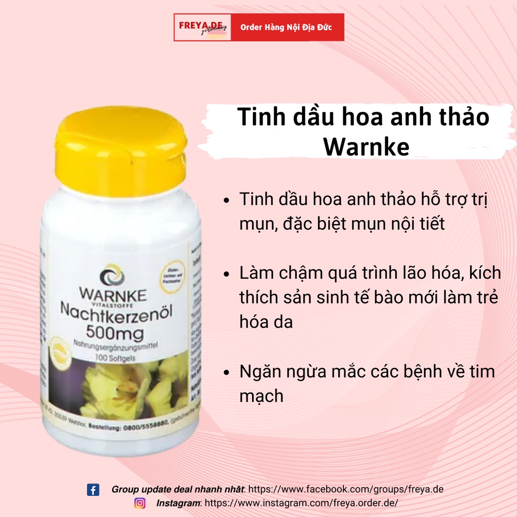 Viên uống tinh dầu hoa anh thảo Warnke - hộp 100 viên - hỗ trợ giảm mụn nội tiết, cân bằng nội tiết tố nữ