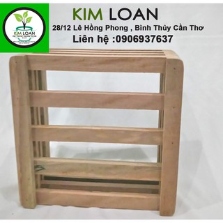 Chậu lan gỗ vuông 20x9cm