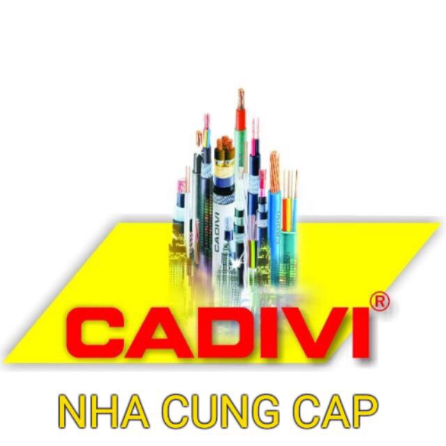 Dây điện đơn 4.0 cadivi 100m