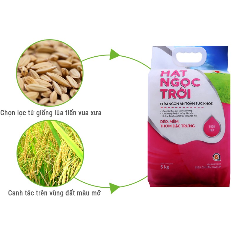 Gạo Hạt Ngọc Trời Tiên Nữ 5kg - giá sỉ | BigBuy360 - bigbuy360.vn