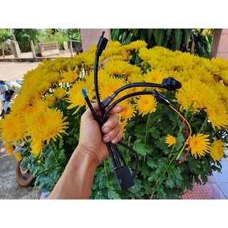 MẠCH BI CẦU MINI 2 MÀU (3 CHẾ ĐỘ)