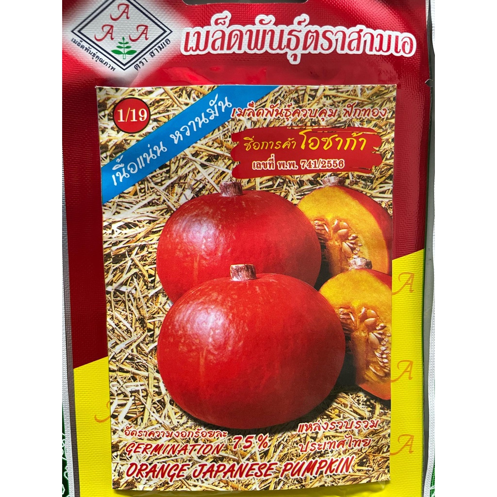 Hạt giống bí ngô mặt trời đỏ gấc nhập Thái lan nguyên gói  ~ 6 hạt (Orange Japanese Pumpkin)