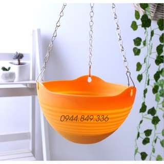 Combo chậu treo 6 màu 6 chậu