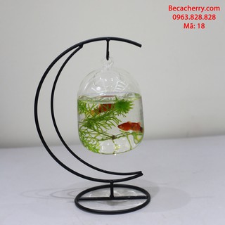 Bể cá mini cung trăng 18 ( Tặng kèm phụ kiện trang trí )
