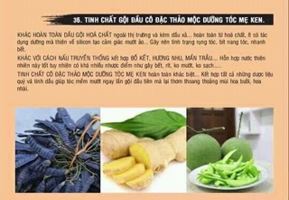 Tinh chất thảo mộc gội đầu Mẹ Ken