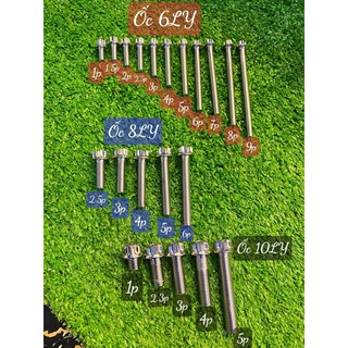 Ốc salaya các size thông dụng