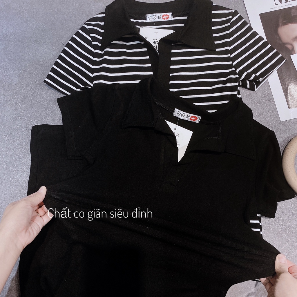 Váy Polo Nữ Body Dáng Dài Qua Gối, Váy Dáng Ôm 2 Màu Đen và kẻ Tôn Dáng Phong Cách Sang Chảnh
