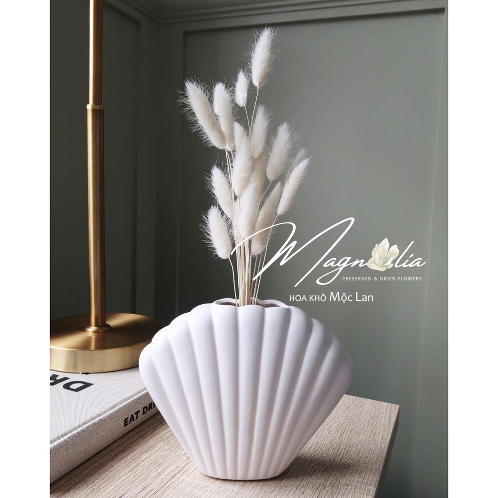 [combo] Hoa khô Lagurus Bunny Tails ❤️FREESHIP❤️ Cỏ đuôi thỏ Mỹ decor, dây thừng