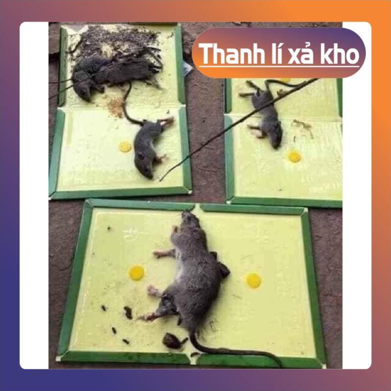 Mua Lẻ Rẻ Như Sỉ,  🐁keo dính chuột🐁🐁🐁👈 , ĐỒ GIA DỤNG BINBON