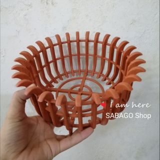 Chậu nhựa trồng lan hình dấu hỏi rộng 25cm