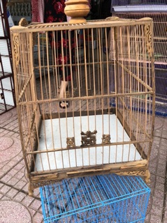 Lồng chào mào Huế kiểu thái
