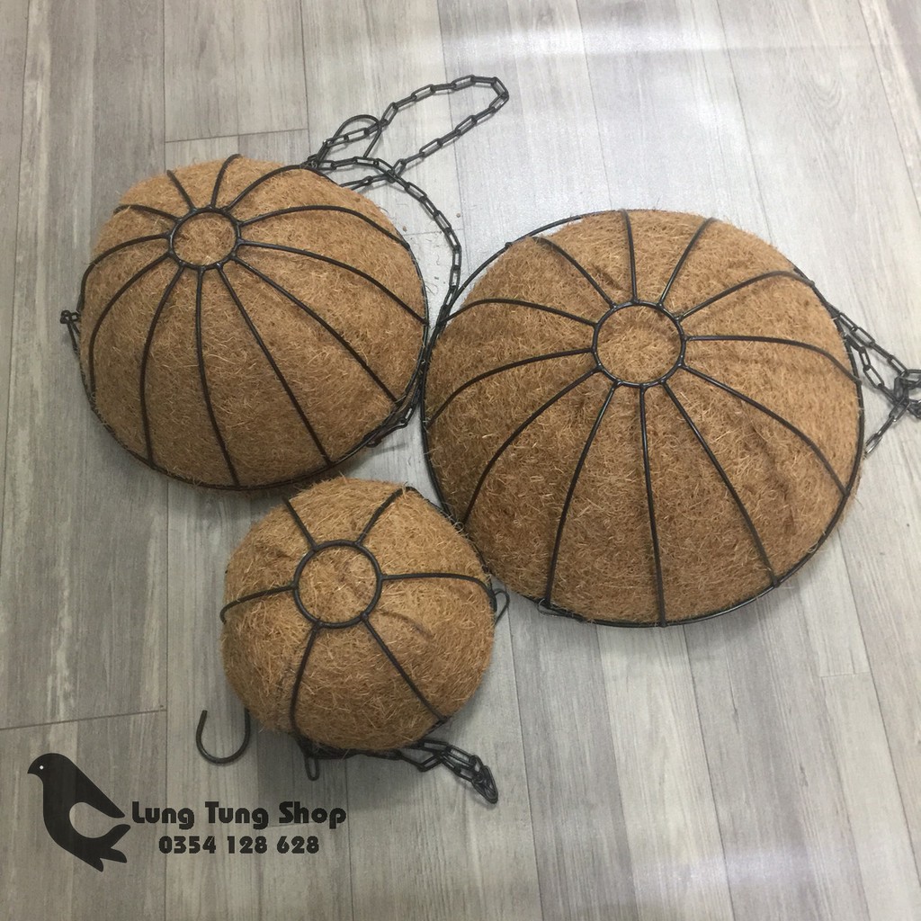 Chậu treo sơ dừa khung sắt - nhiều kích thước , chậu trồng dâu tây