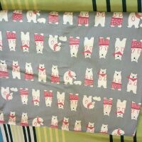 Thô lụa 100% cotton