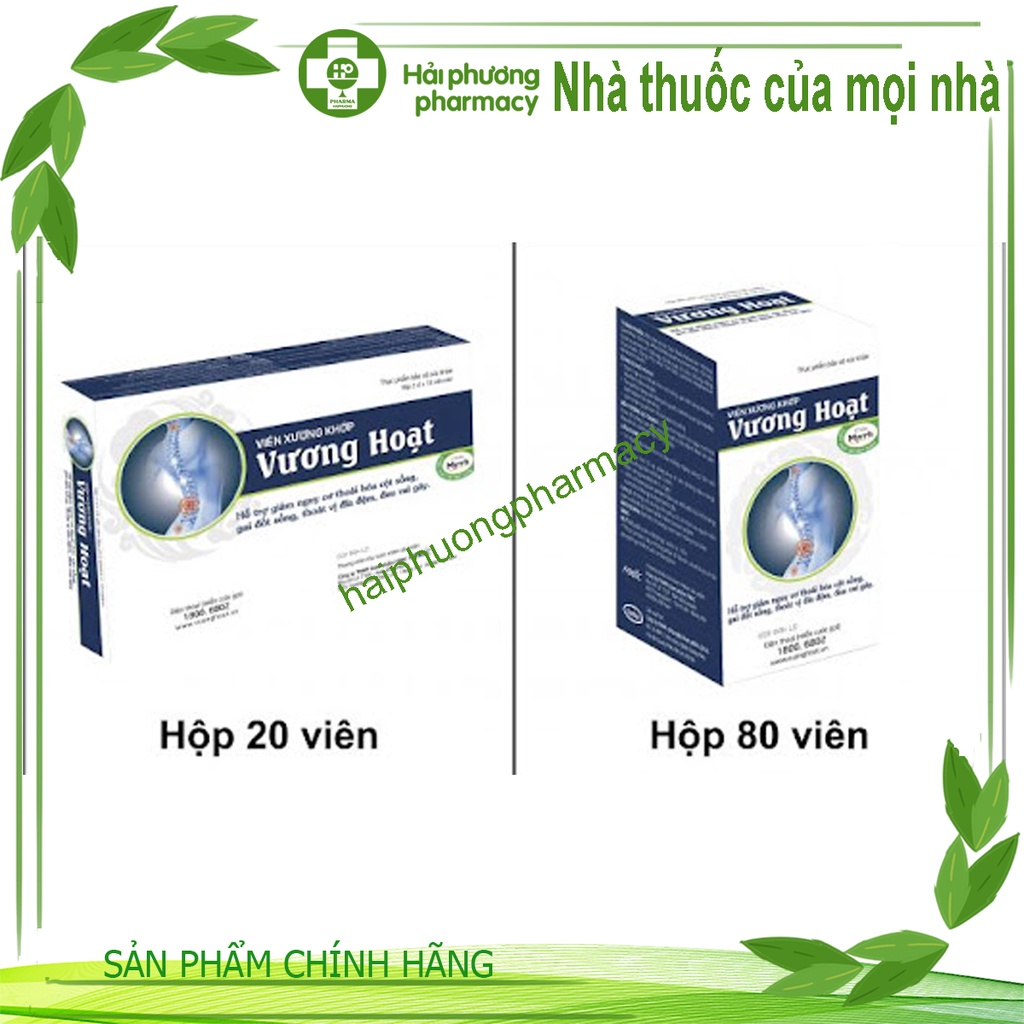 Viên xương khớp Vương Hoạt - Giảm thoái hóa cột sống, thoát vị địa đệm