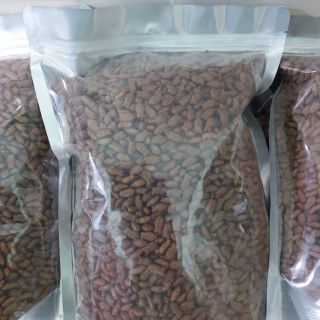 Hạt Cat's Eye cho mèo