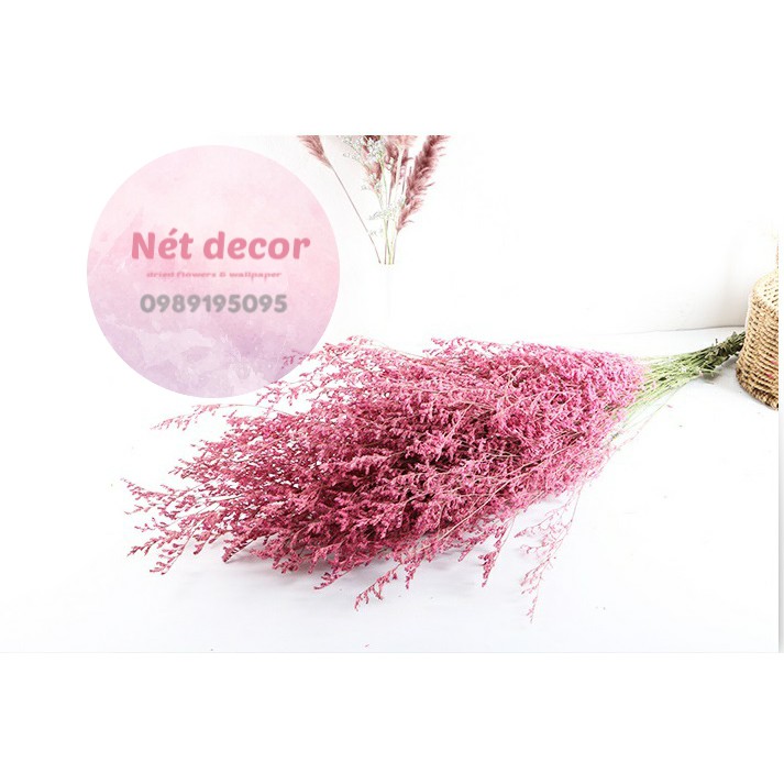 Bó Hoa Đuôi Công thật sấy khô decor